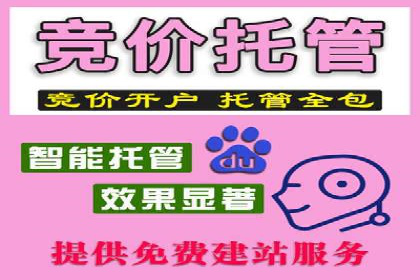 某电商平台的成功信息流广告投放经验